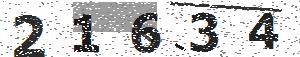 تصویر امنیتی