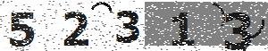 تصویر امنیتی